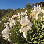 Villa Villa In Andalusia With Sauna